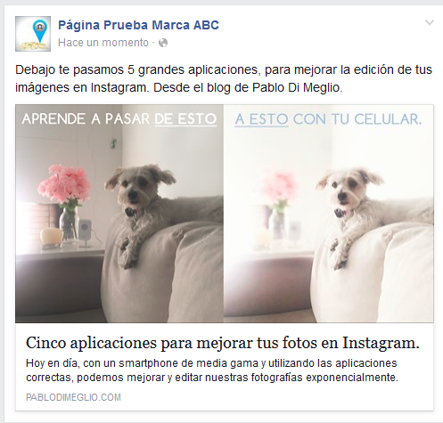 5ta-Publicacion