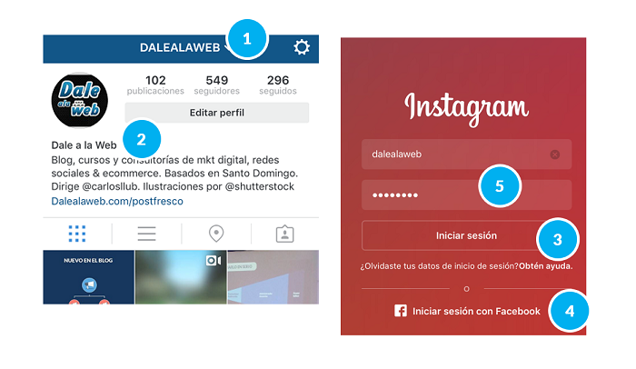Componentes-cuenta-Instagram