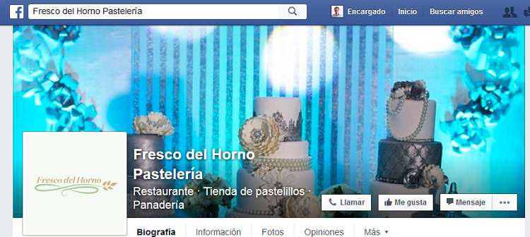 Entrar-Pagina-fans-Marca-Referencia-Facebook