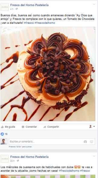 Revisar-Publicaciones-Pagina-fans-Marca-Referencia-Facebook